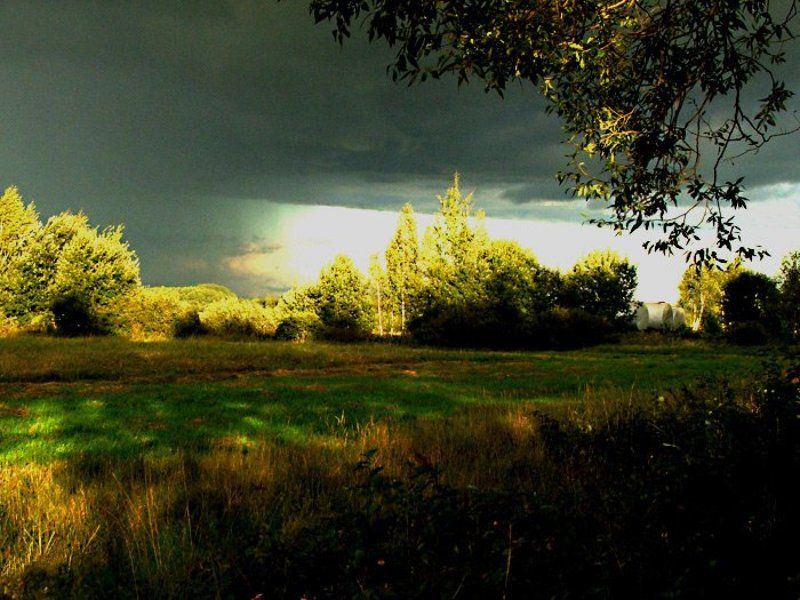 гроза,дождь  фото превью