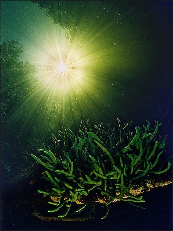 Лучи фото превью