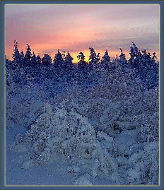 зима тайга заря, Солодухин Виктор