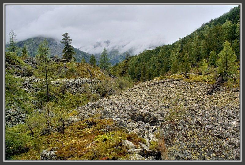 алтай , горы Новогодняя ностальгия фото превью