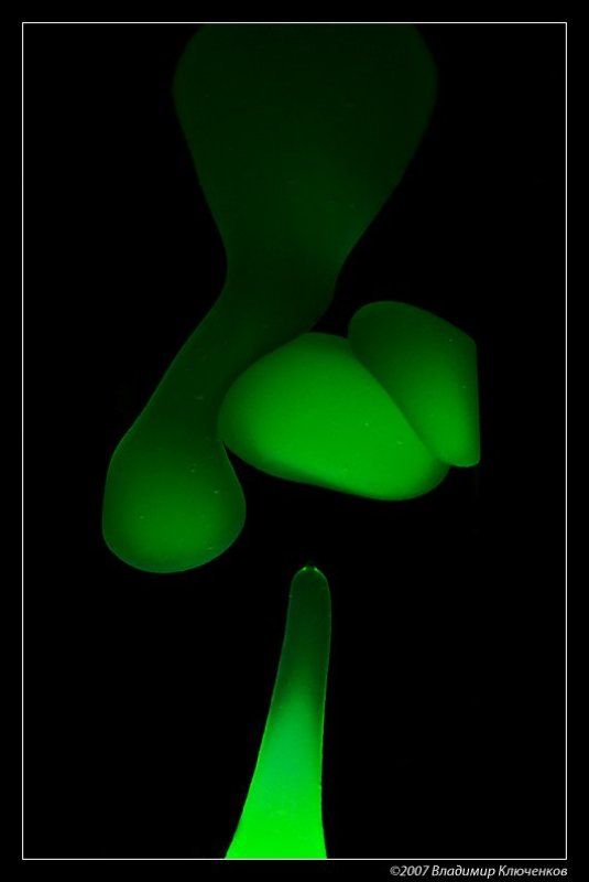 Процесс фото превью