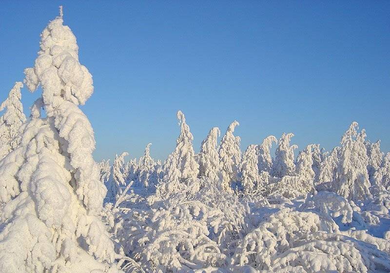 зима тайга якутия, Солодухин Виктор