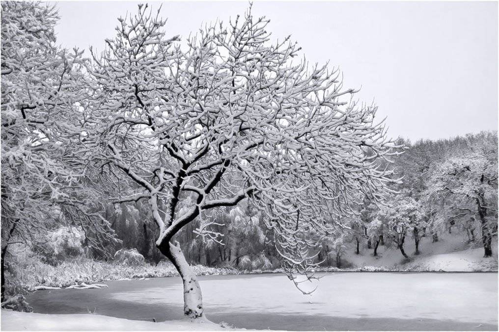 , Александр Батурский