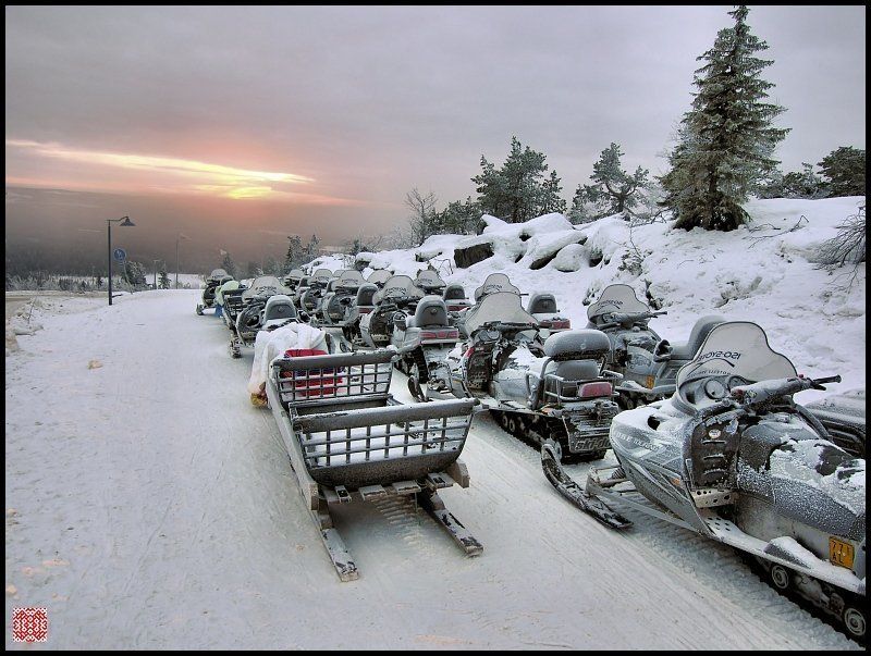 снег, снег, снег Вперёд, заре навстречу! :)) фото превью