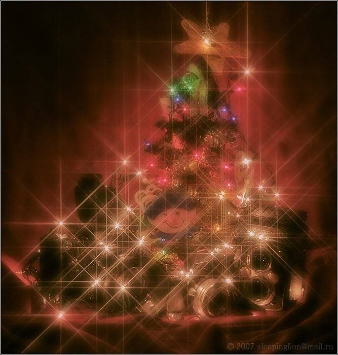 pilgrim, поздравление, с новым годом, Pilgrim