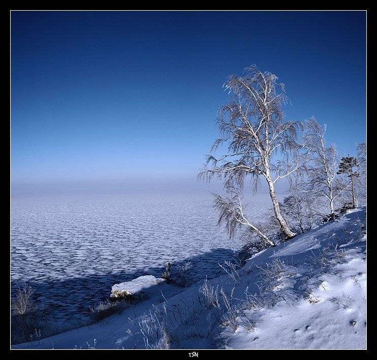 , Сергей Требунских