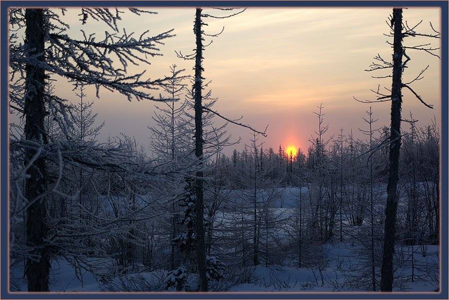 рассвет тайга зима, Солодухин Виктор