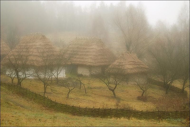 Шир фото превью