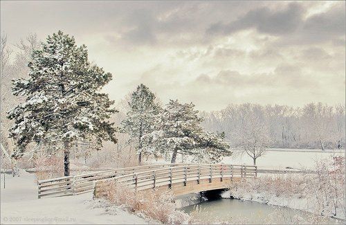 The Day of New Year...