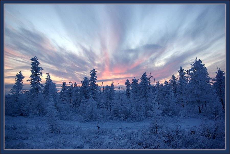 закат зима тайга север, Солодухин Виктор