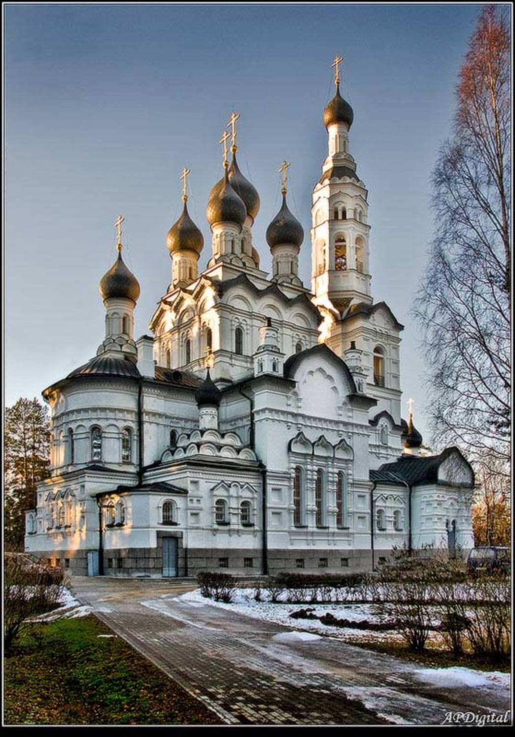 зеленогорск, A_Pol