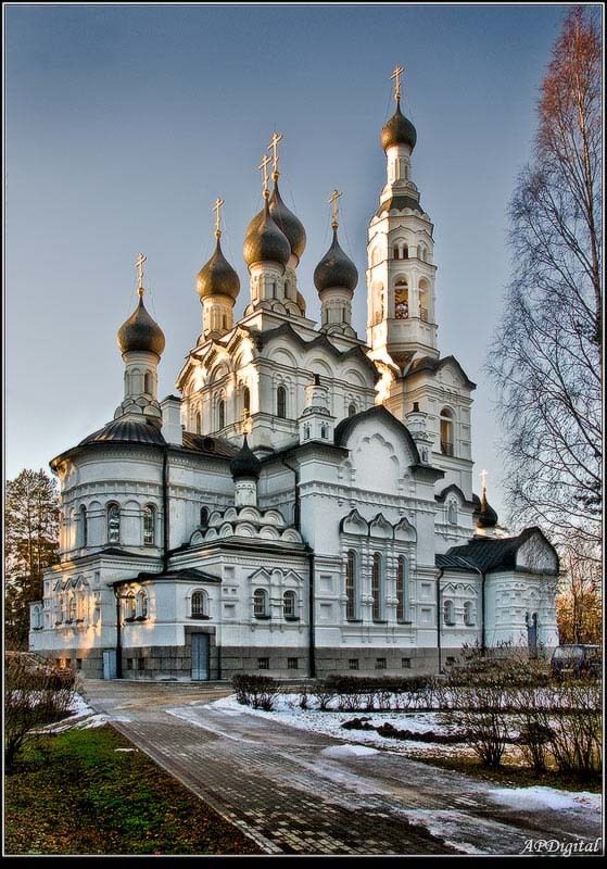 зеленогорск Свет фото превью