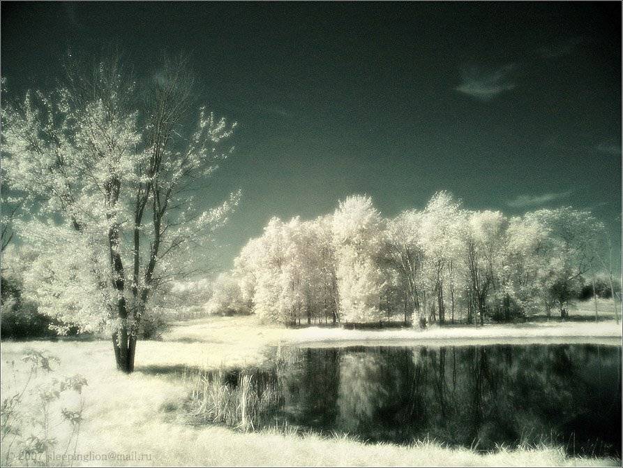 ик, пейзаж, infrared, инфракрасный, инфракрасное, pilgrim, Pilgrim