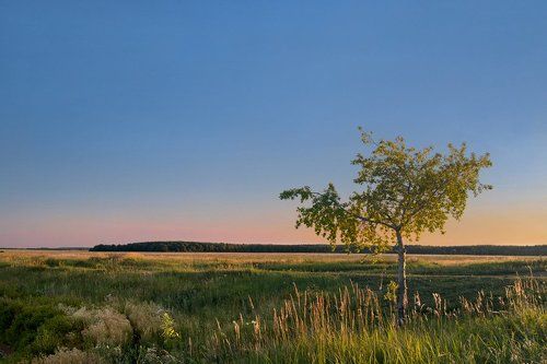 Про цвет засыпающего дня