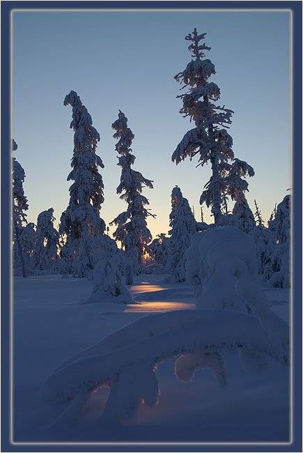 тайга,зима,рассвет, Солодухин Виктор