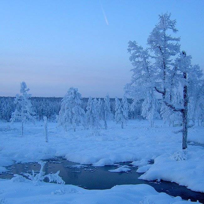 ручей,зима, Солодухин Виктор
