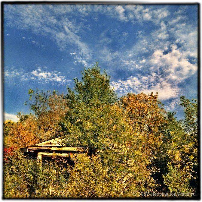 пейзаж, пленка, 120 film, средний формат, medium format, 6x6, yashica-d, pilgrim, Pilgrim