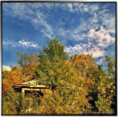 Забытое в осени...