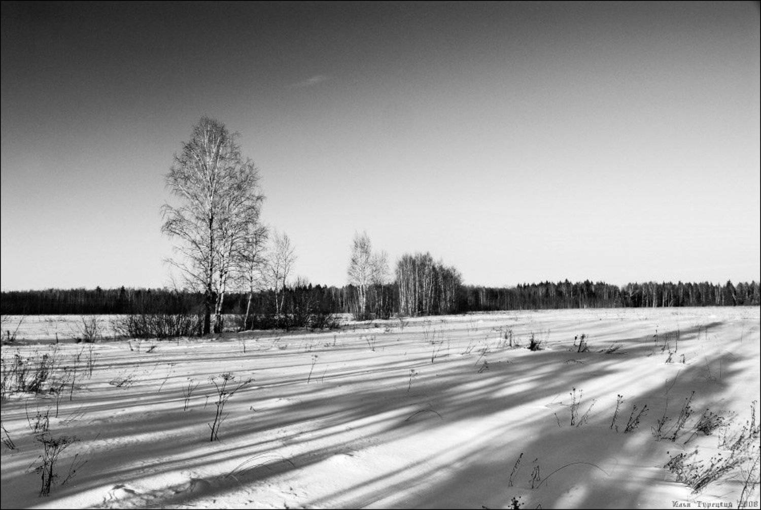 перспективы, морозных, дней, Илья Турецкий