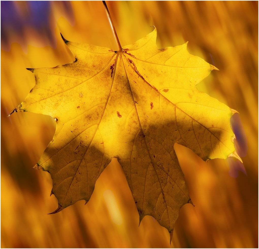 , Александр Батурский