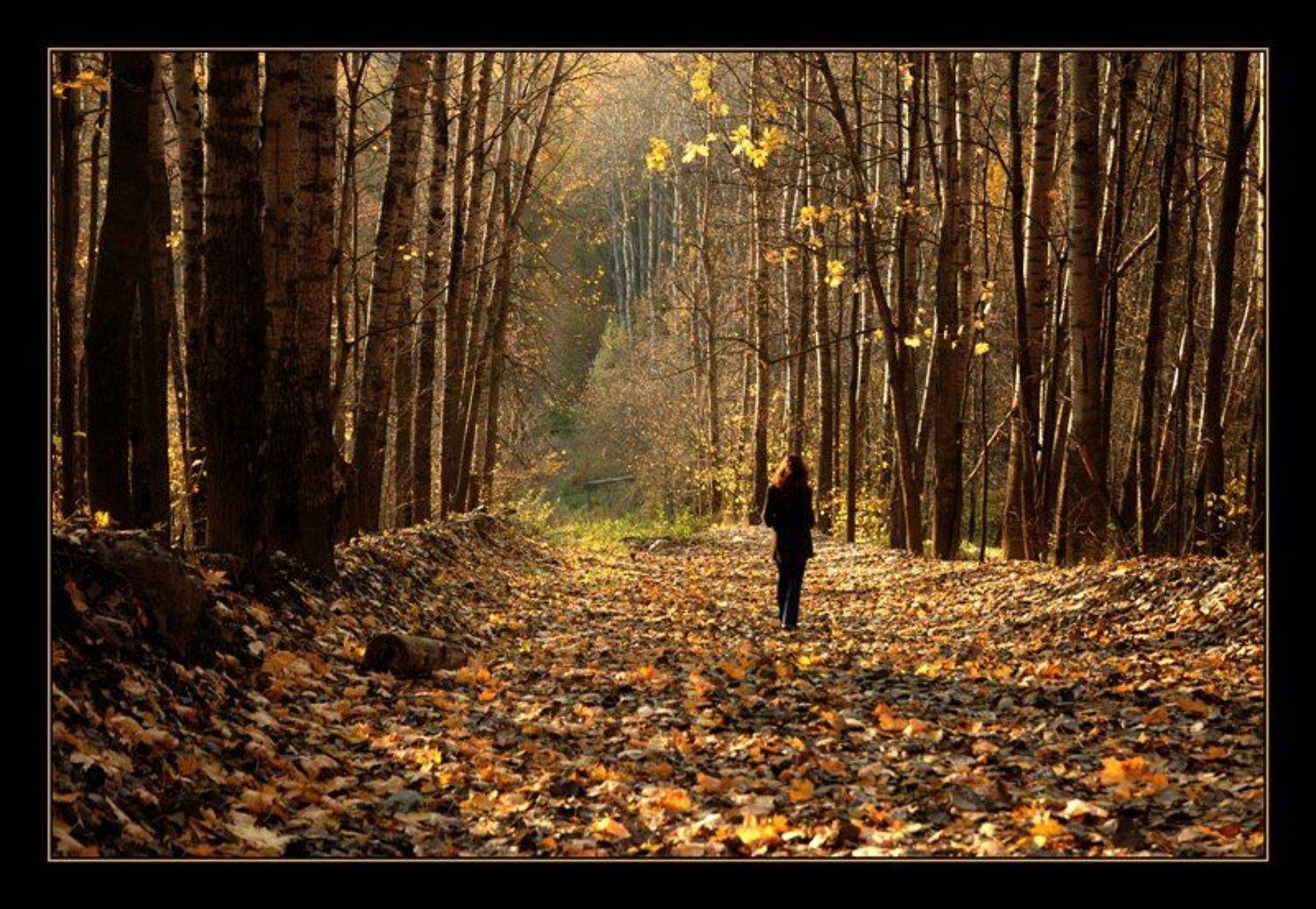 девушка, осень, Сергей Дужников