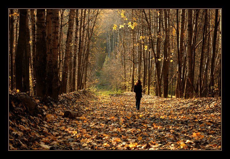 девушка, осень осеннее настроение2 фото превью