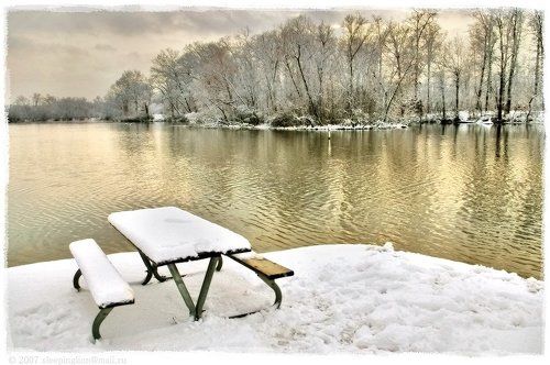 Цвет зимы...