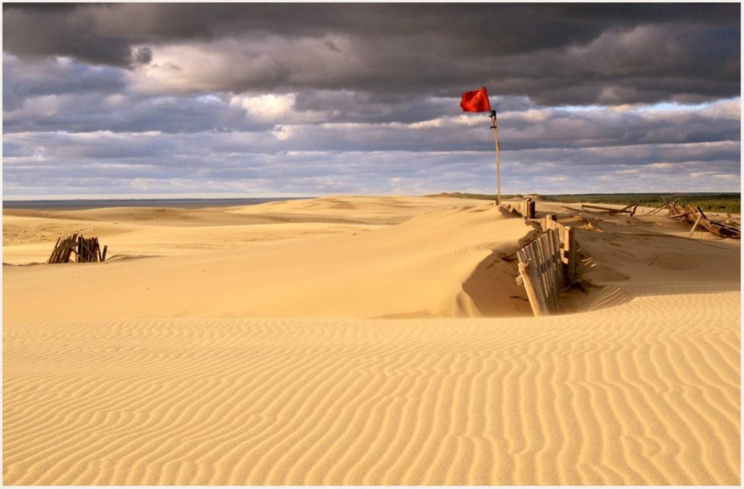 утро в дюнах, Павел Дунюшкин