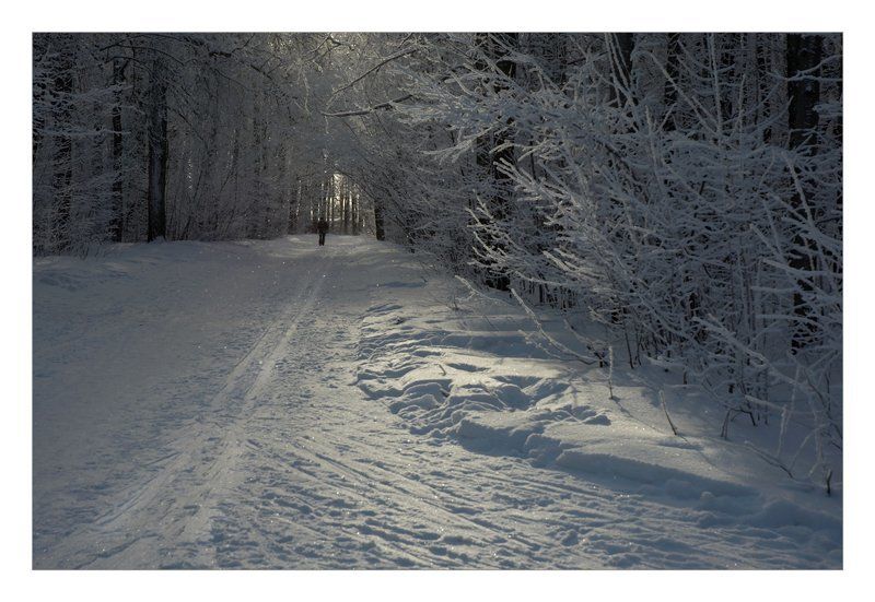 снег, свет, зима просто пришла зима фото превью