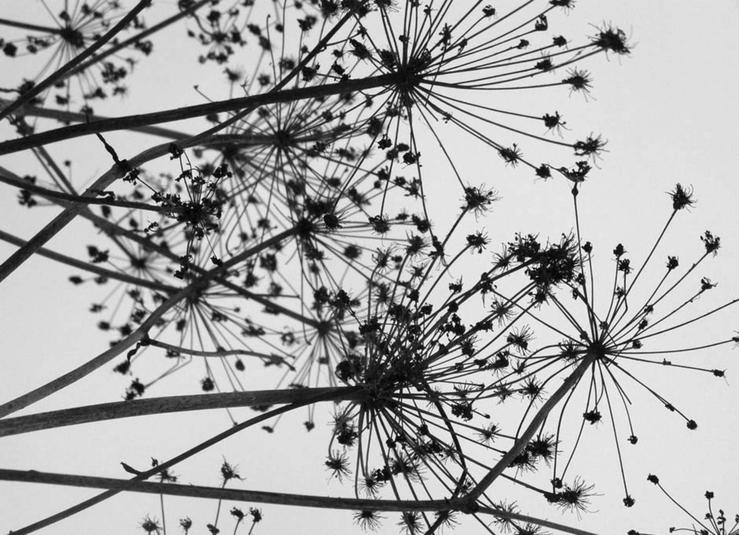 , Любовь Роктанэн