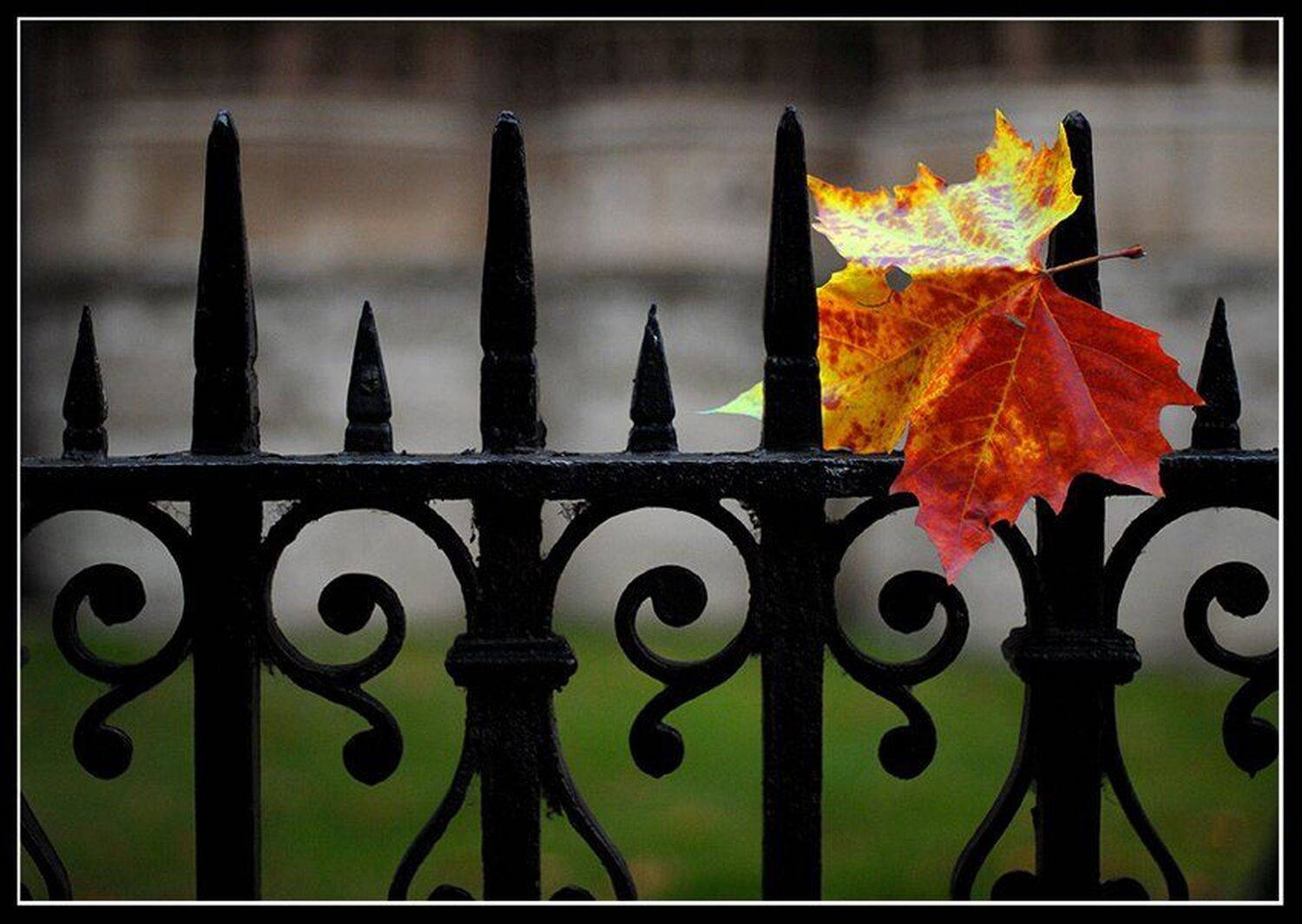 uk, VK (www.Camera-Aquarius.com)