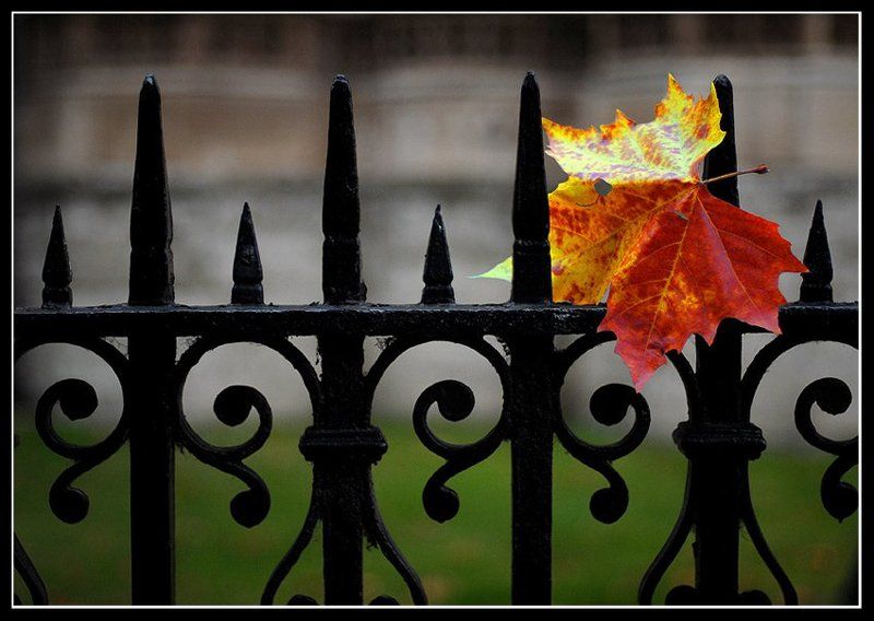 uk Осенний этюд фото превью