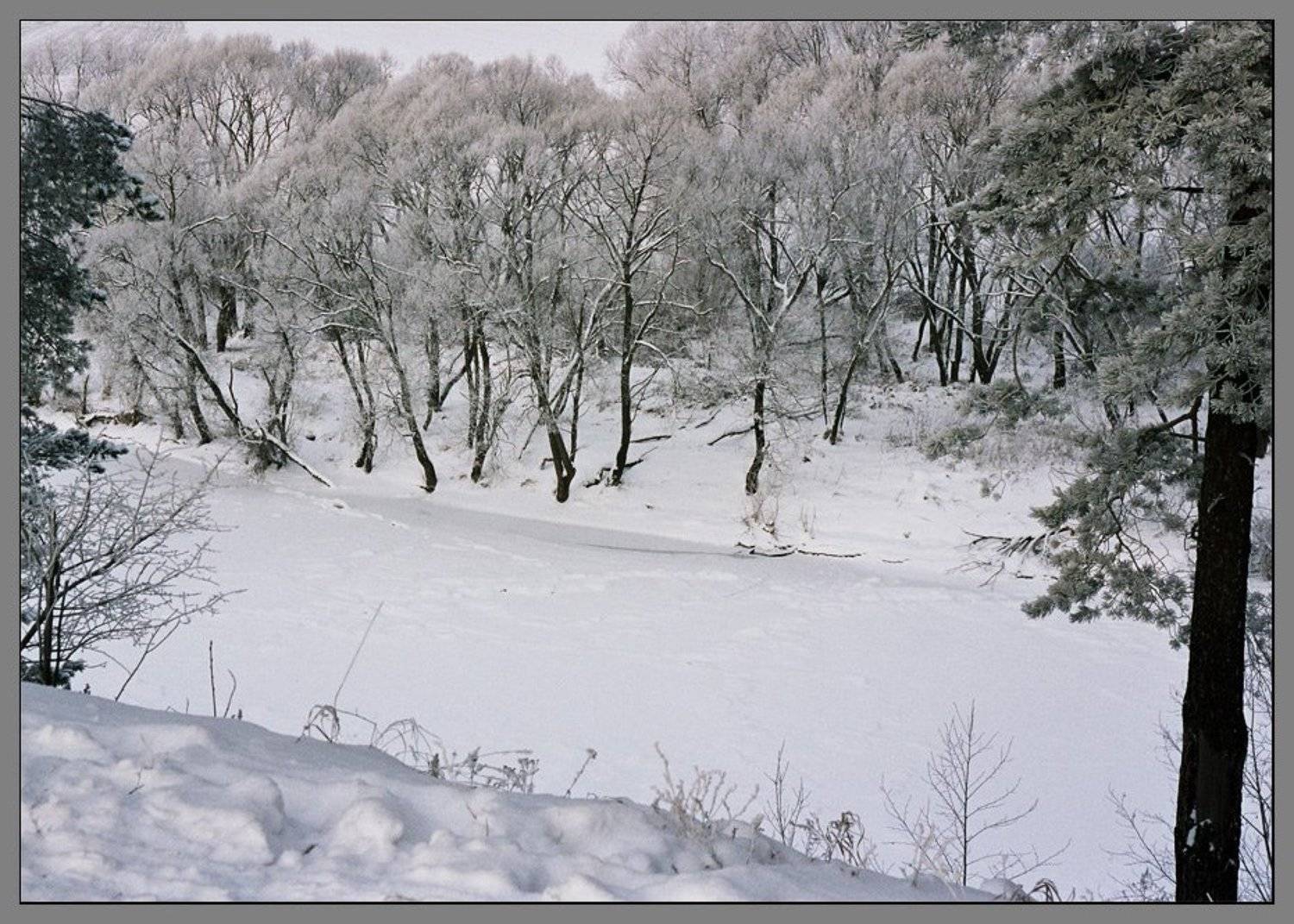 , Лунный Ежик