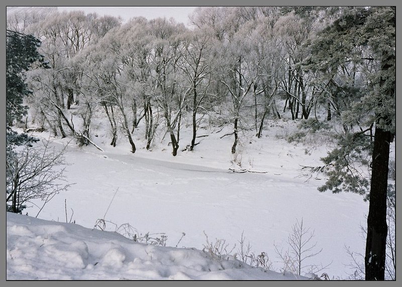 Зимние картинки фото превью