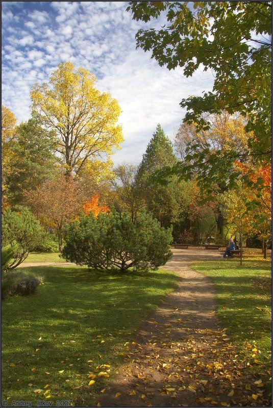 осень, октябрь, пейзаж * * * фото превью