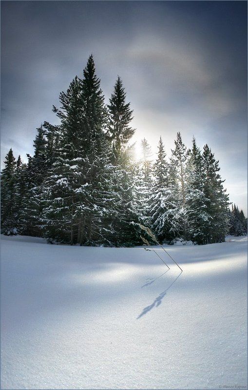 весна, зима Весенний свет фото превью