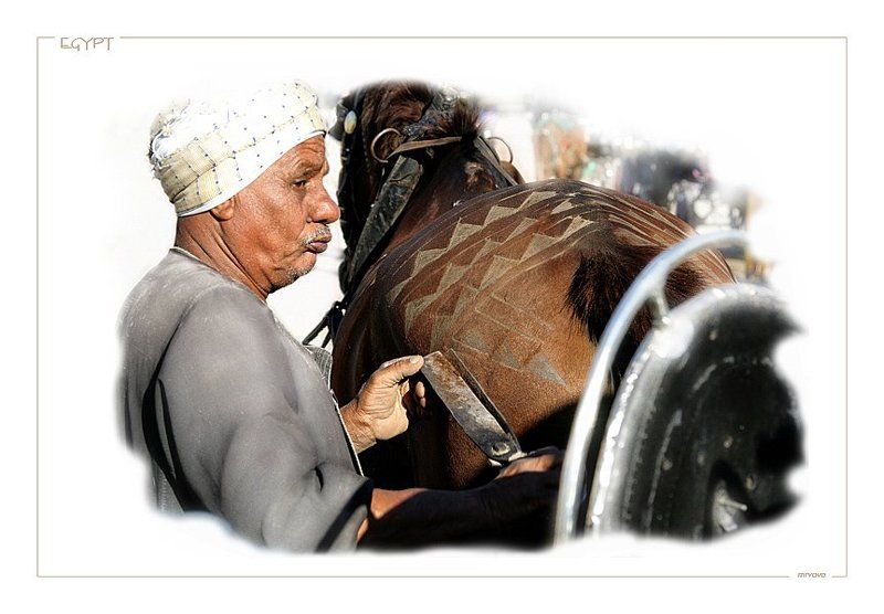 египет people #7 фото превью
