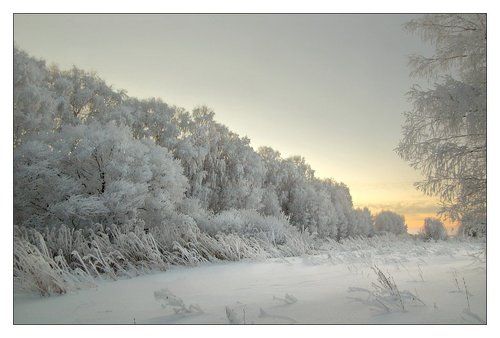 Заснеженная тишина