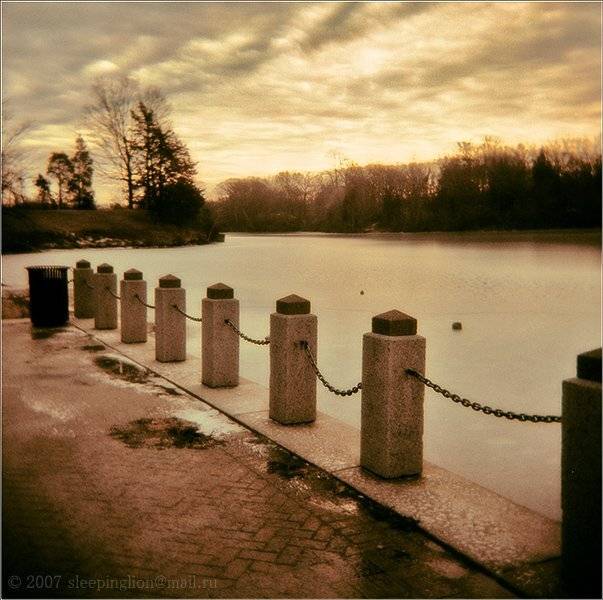 пейзаж, пленка, 120 film, средний формат, medium format, 6x6, holga, crappy camera, pilgrim, Pilgrim