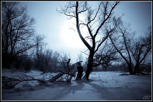 Холодный январь