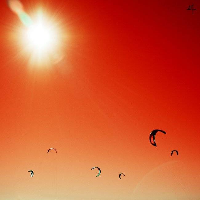 , Дмитрий Плотникофф