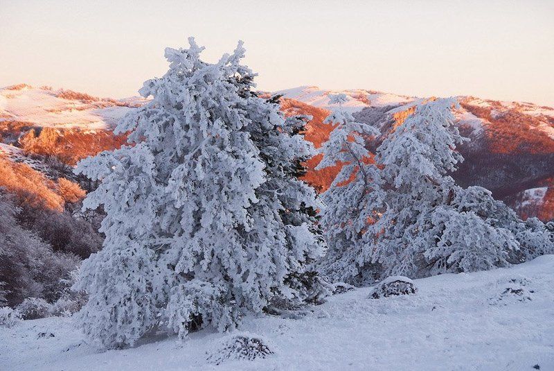 крым Утро Нового года фото превью