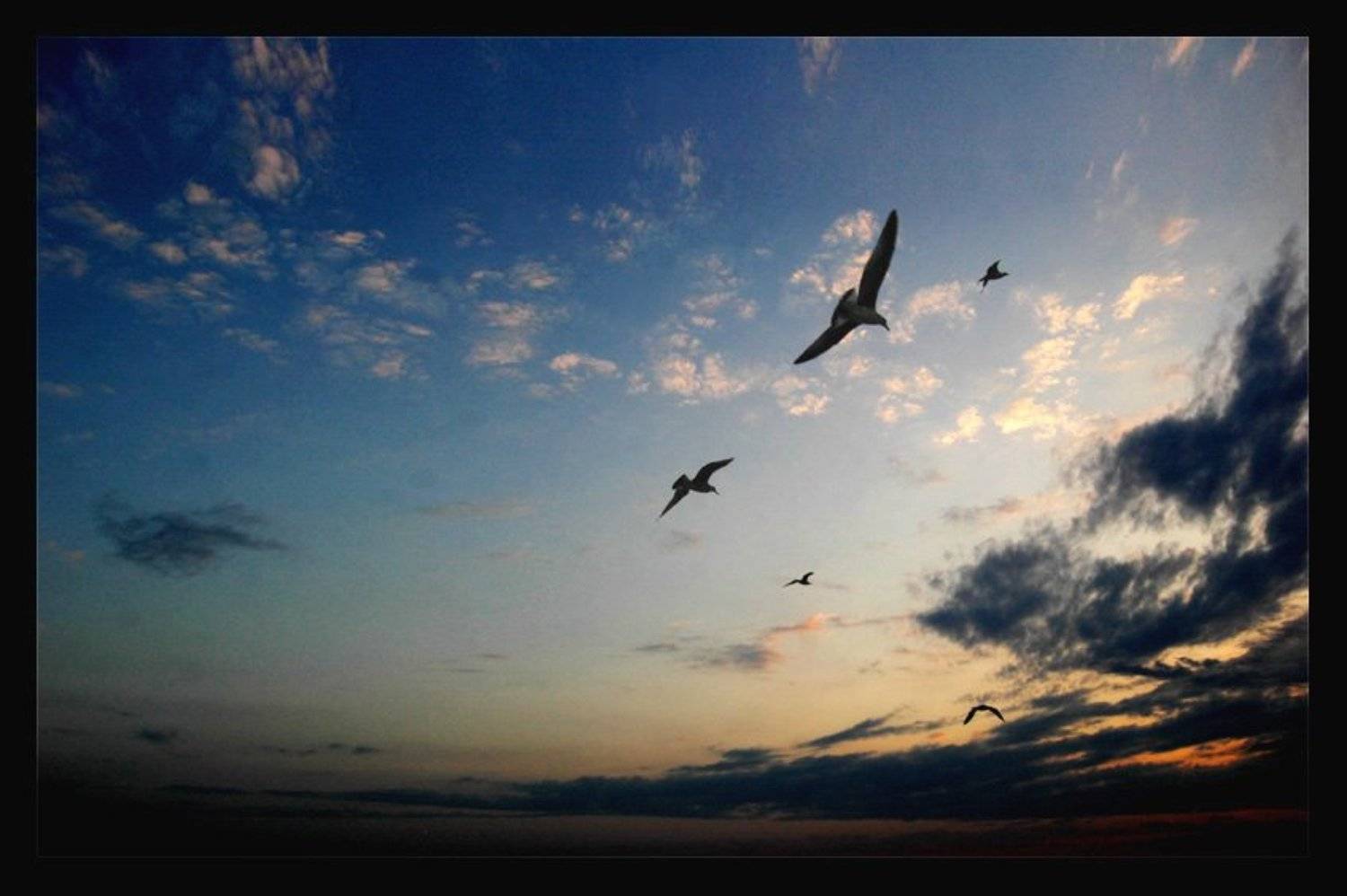 моренебооблака, Айрин