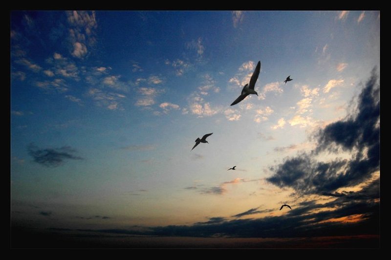 моренебооблака На Запад фото превью