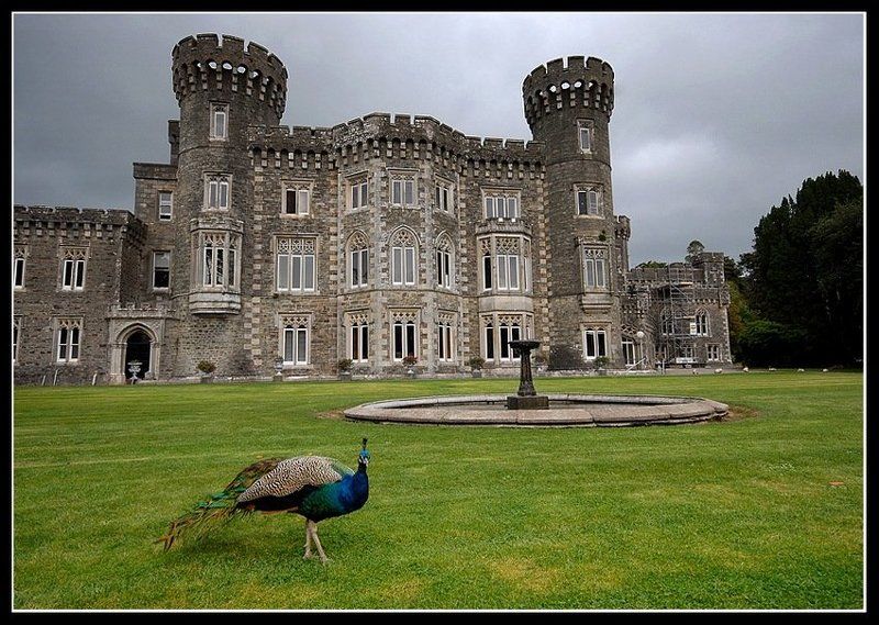 ireland Обход владений фото превью