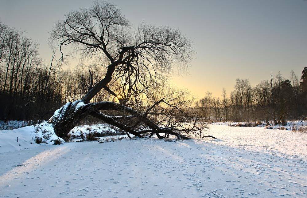 , Дмитрий Милосердов