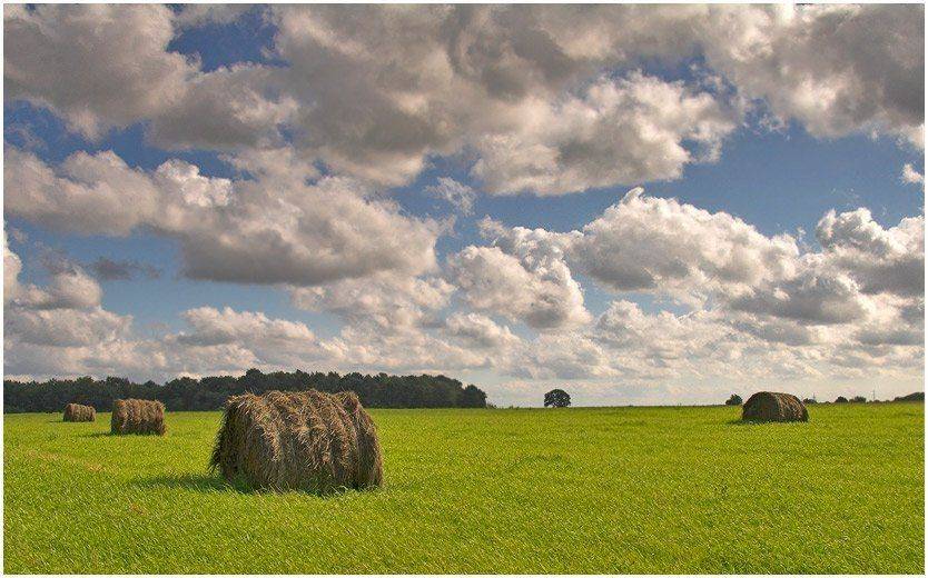 август, Павел Дунюшкин