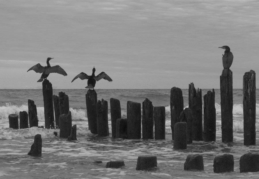 задушевный, разговор, Павел Дунюшкин