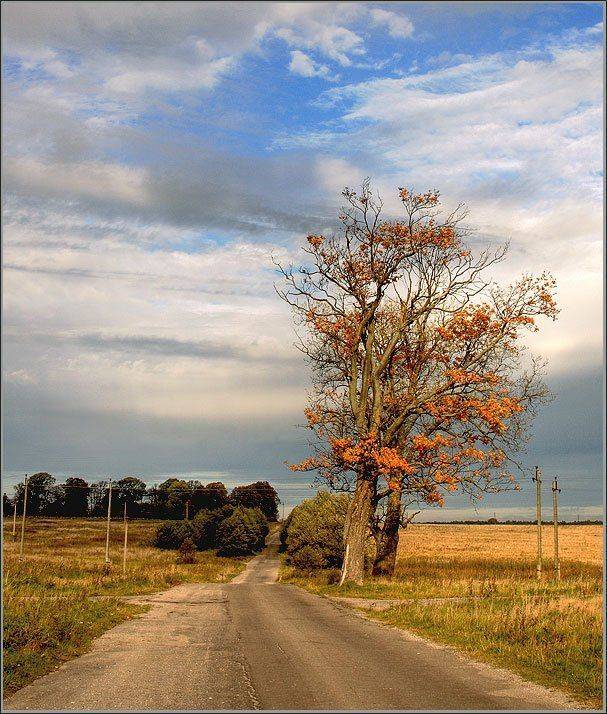осень, Павел Дунюшкин
