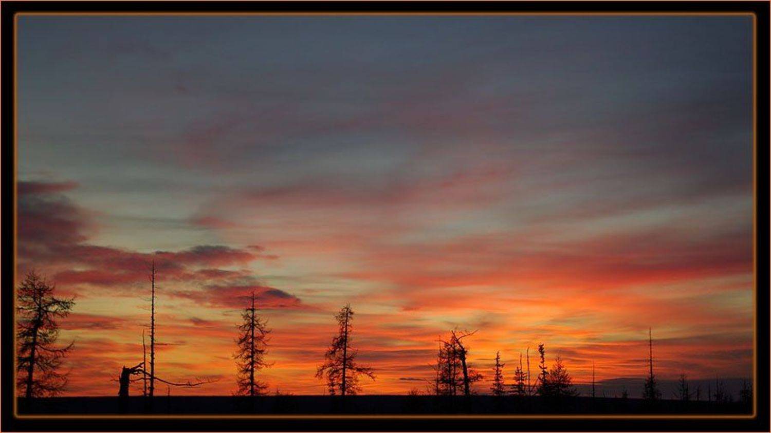 тайга,закат, Солодухин Виктор